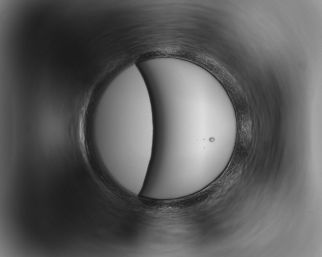 X0000088060734200705110913