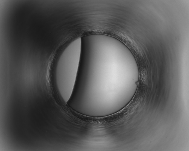 X0000088060735200705110913