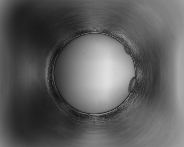X0000088060736200705110913
