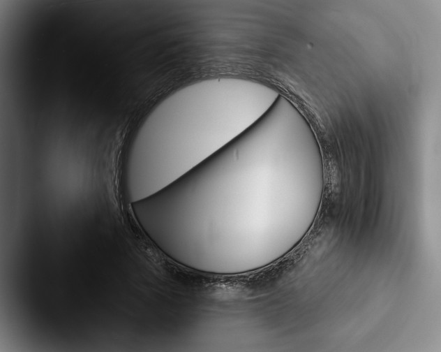 X0000088060737200705110913