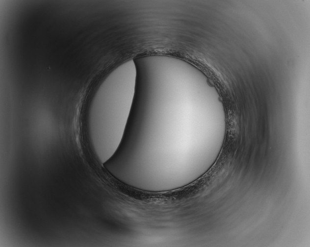X0000088060738200705110913