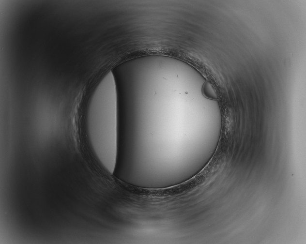 X0000088060739200705110913