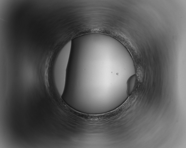 X0000088060740200705110913