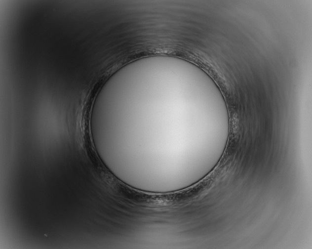 X0000088060741200705110913