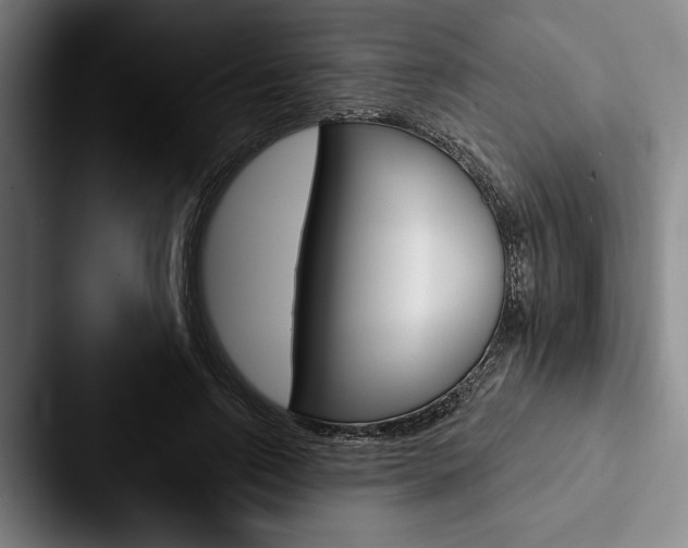 X0000088060742200705110913