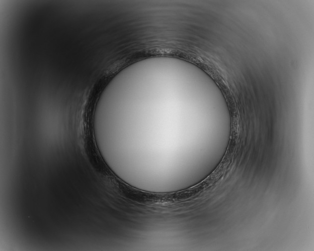 X0000088060743200705110913