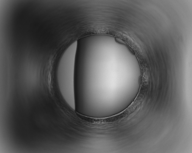 X0000088060744200705110913
