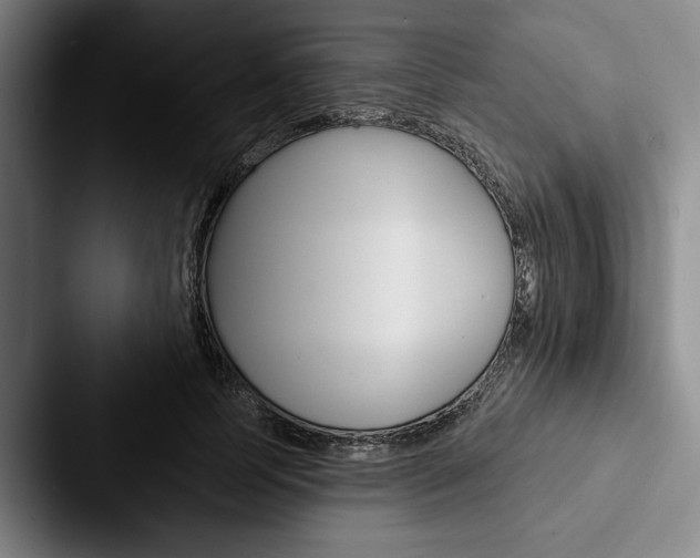 X0000088060745200705110913