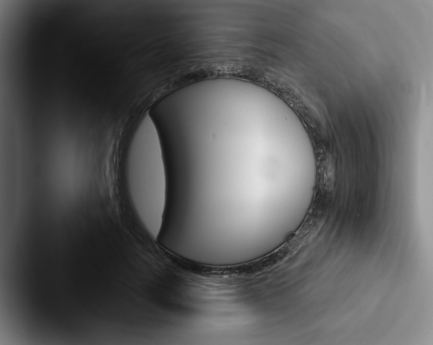 X0000088060746200705110913