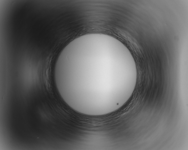 X0000088060748200705110913