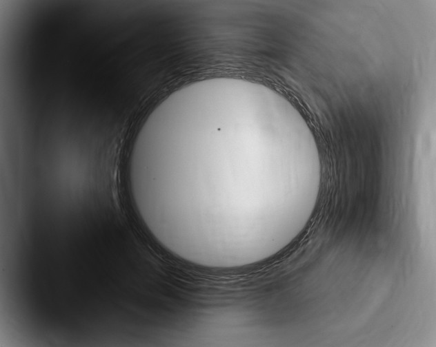 X0000088060750200705110913