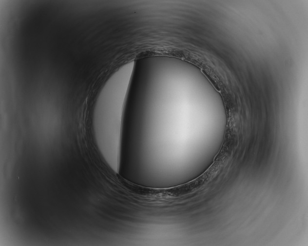 X0000088060752200705110913