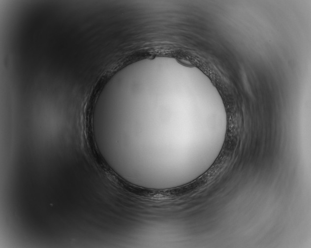 X0000088060755200705110913