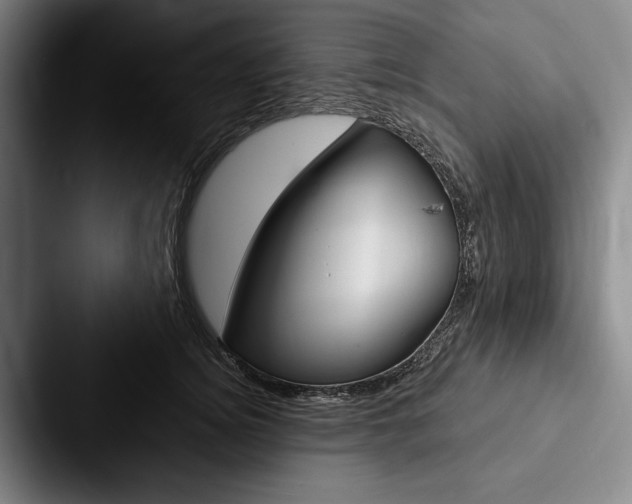 X0000088060756200705110913