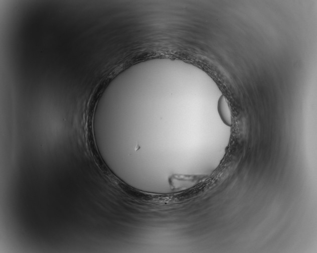 X0000088060757200705110913