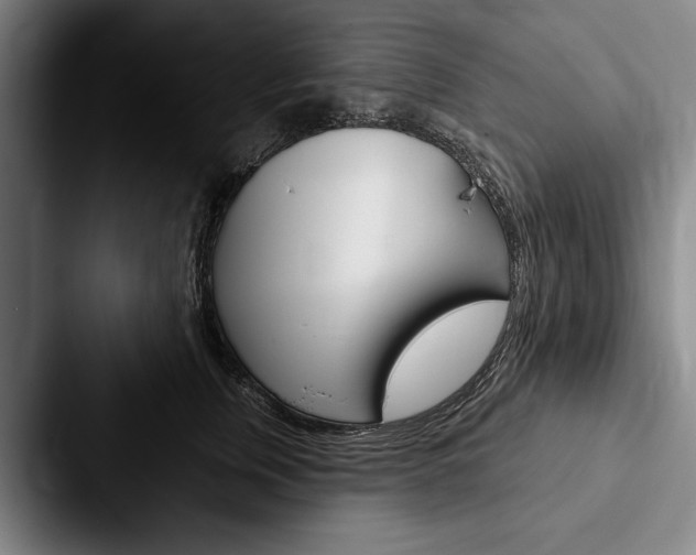 X0000088060759200705110913