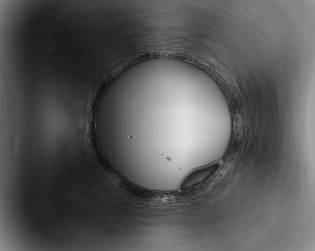 X0000088060760200705110913