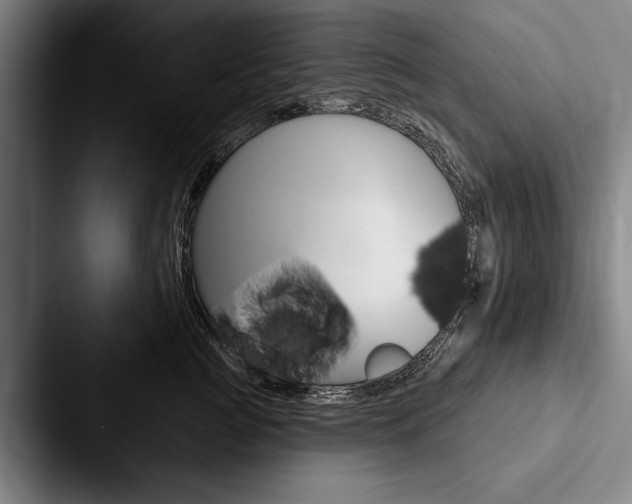 X0000088060761200705110913