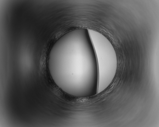 X0000088060762200705110913