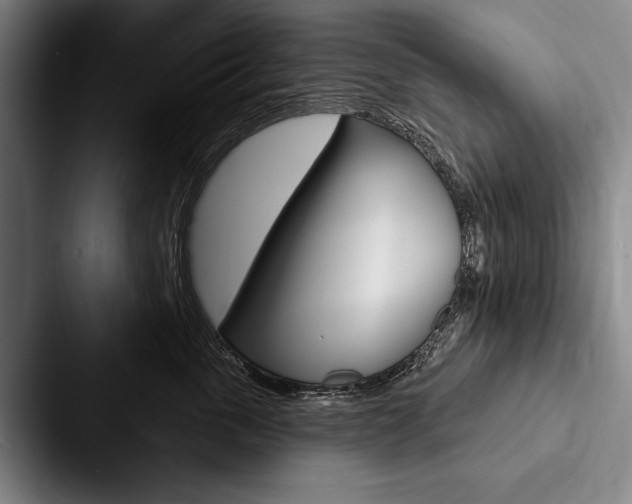 X0000088060763200705110913
