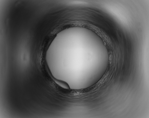 X0000088060764200705110913