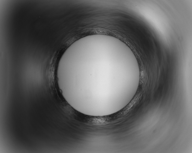 X0000088060765200705110913