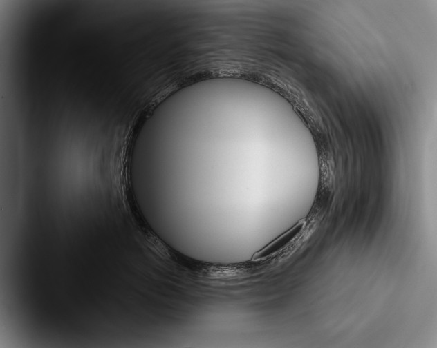 X0000088060766200705110913