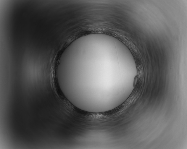 X0000088060767200705110913