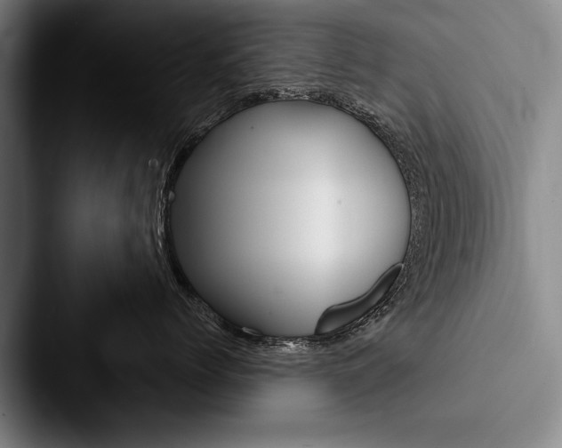 X0000088060768200705110913