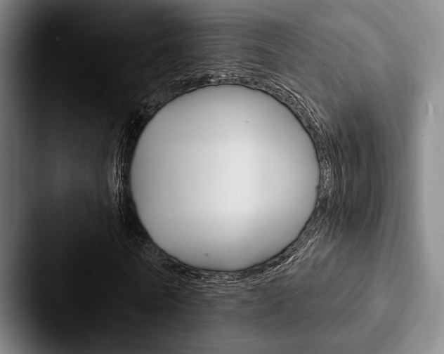 X0000088060770200705110913
