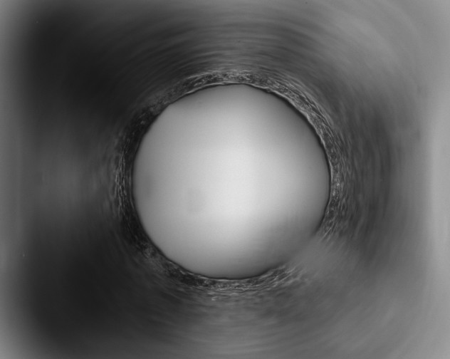 X0000088060773200705110913