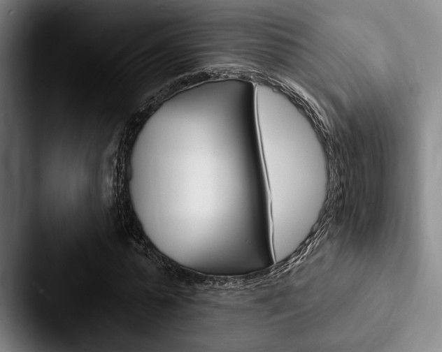 X0000088060775200705110913