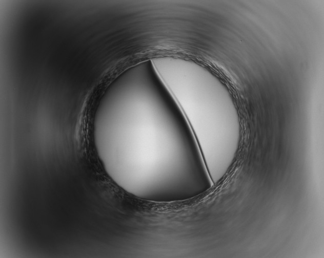 X0000088060776200705110913