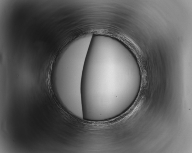 X0000088060777200705110913