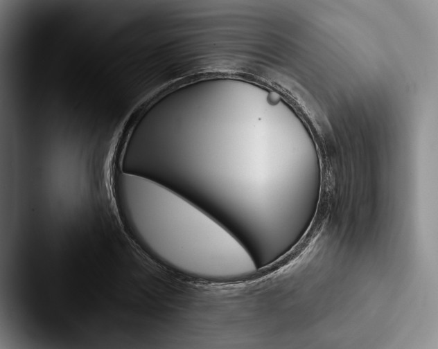 X0000088060779200705110913