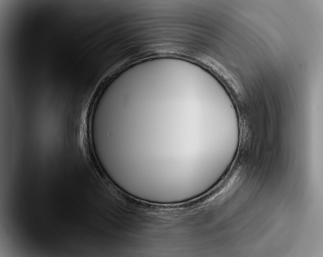 X0000088060782200705110913
