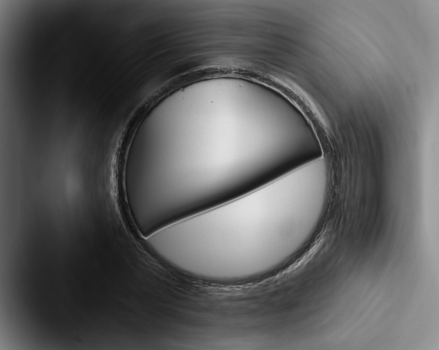 X0000088060783200705110913