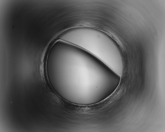 X0000088060784200705110913