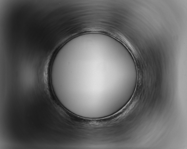 X0000088060787200705110913