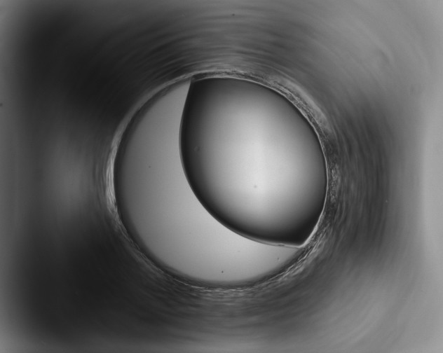 X0000088060788200705110913