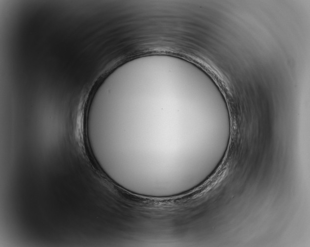 X0000088060790200705110913
