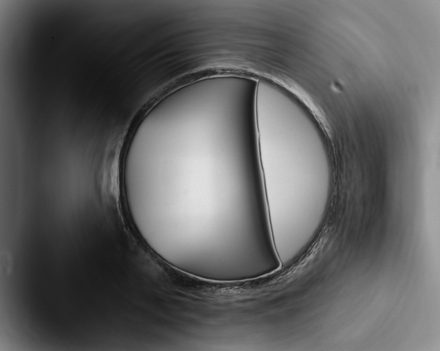 X0000088060791200705110913
