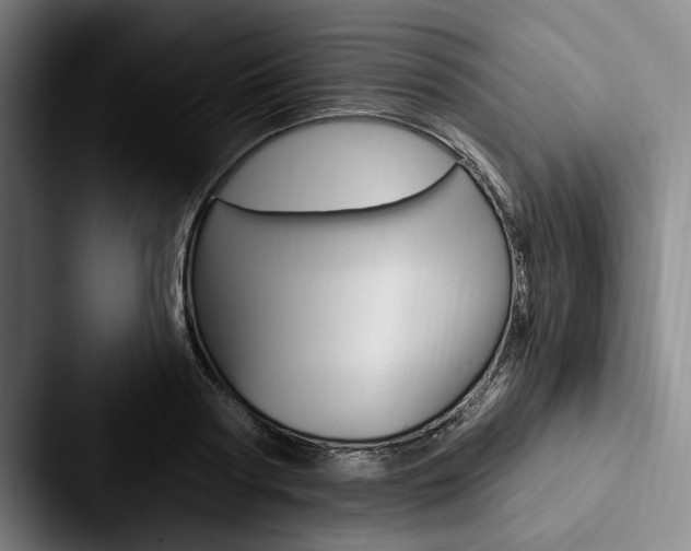 X0000088060794200705110912