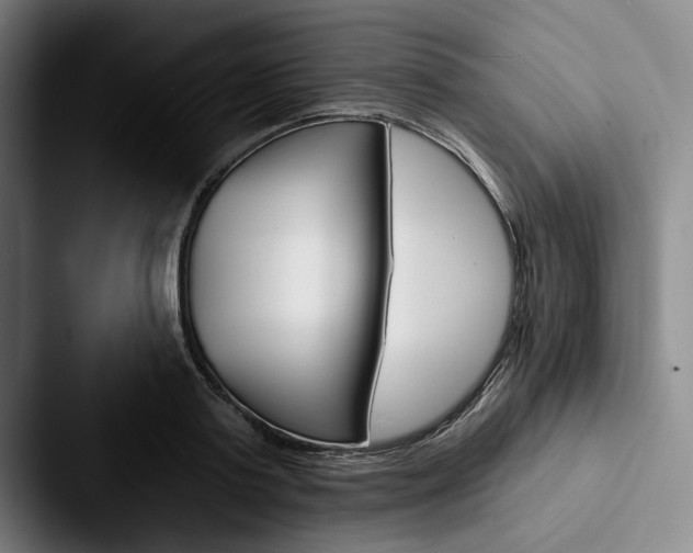 X0000088060795200705110912