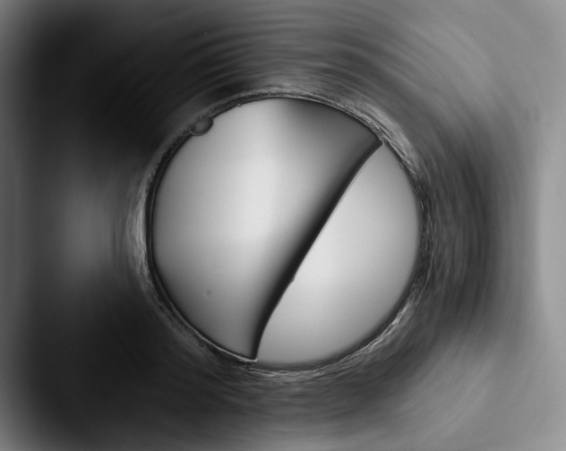 X0000088060796200705110912