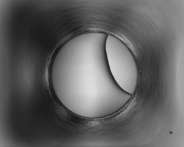X0000088060798200705110912
