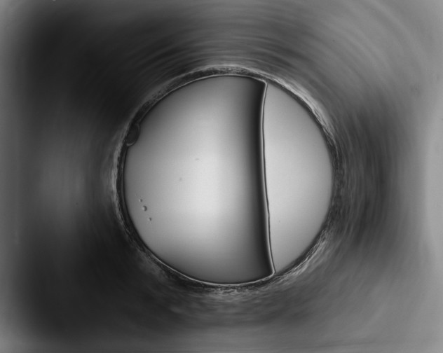 X0000088060799200705110912