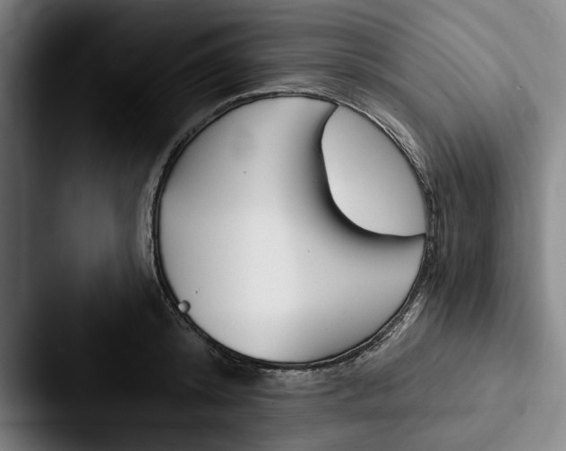 X0000088060800200705110912