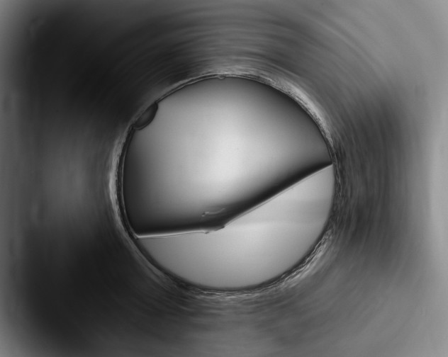 X0000088060803200705110912