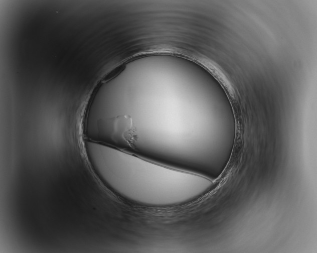 X0000088060805200705110912